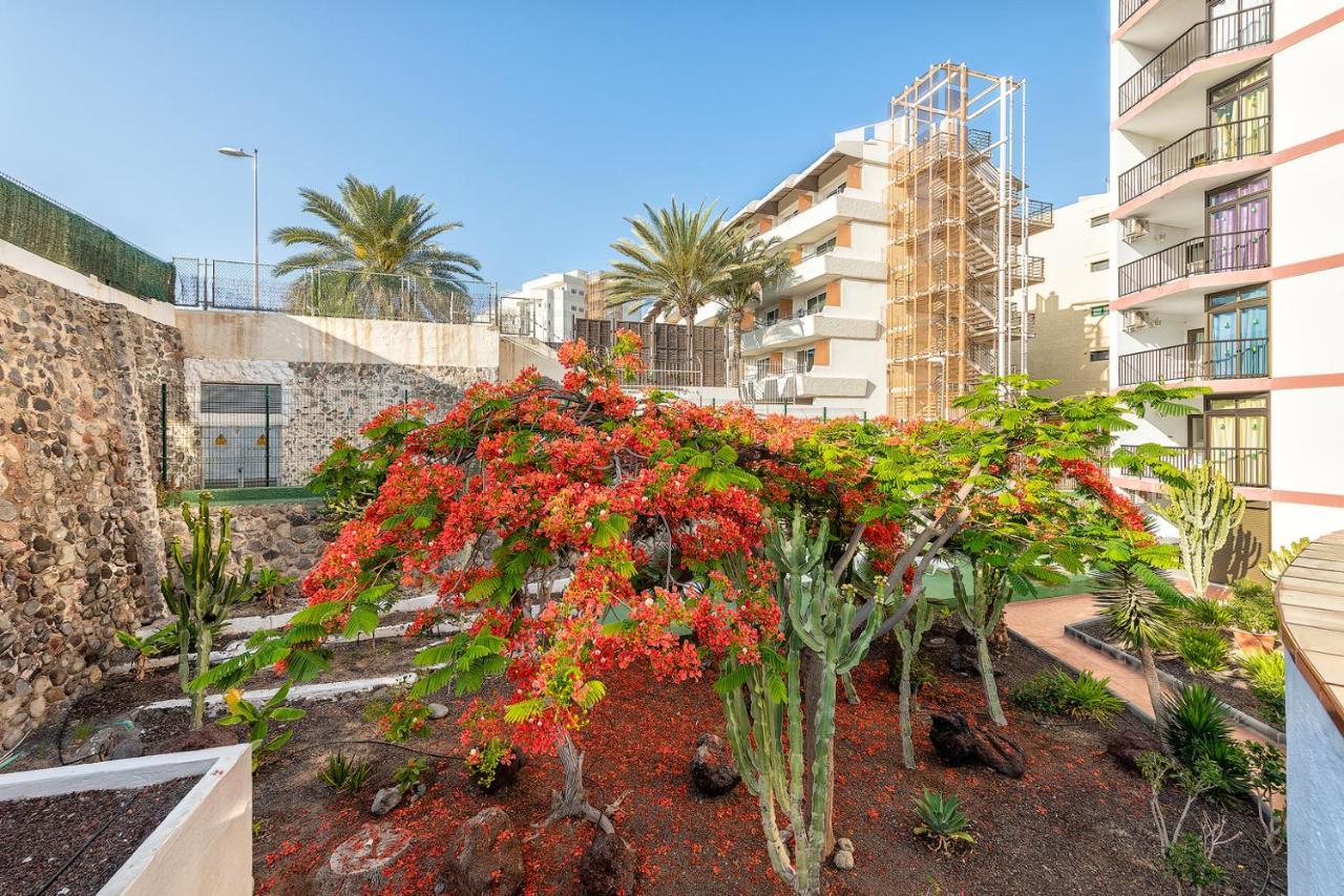 Pulpo Amarillo Apartamento Playa del Inglés Exterior foto